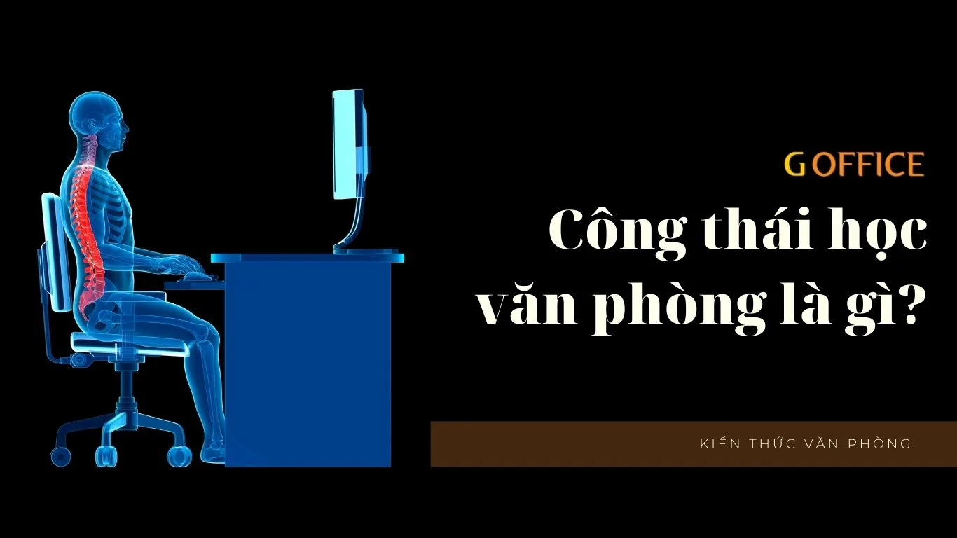 Công thái học văn phòng là gì?