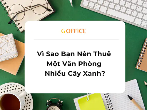 Vì Sao Bạn Nên Thuê Một Văn Phòng Nhiều Cây Xanh
